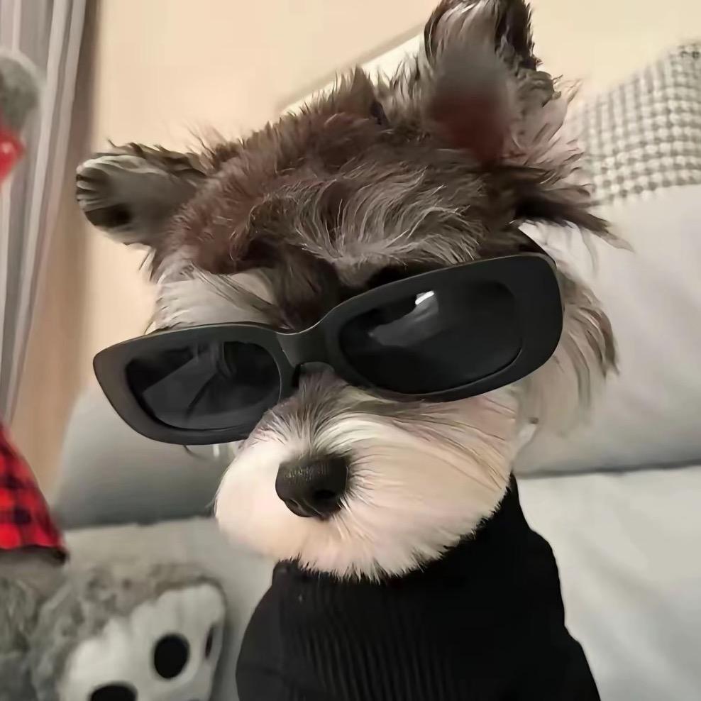 我牙疼不想逼次