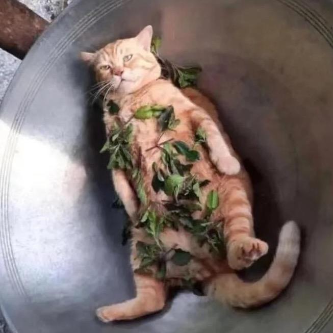 太阳007🌈🌈🌈