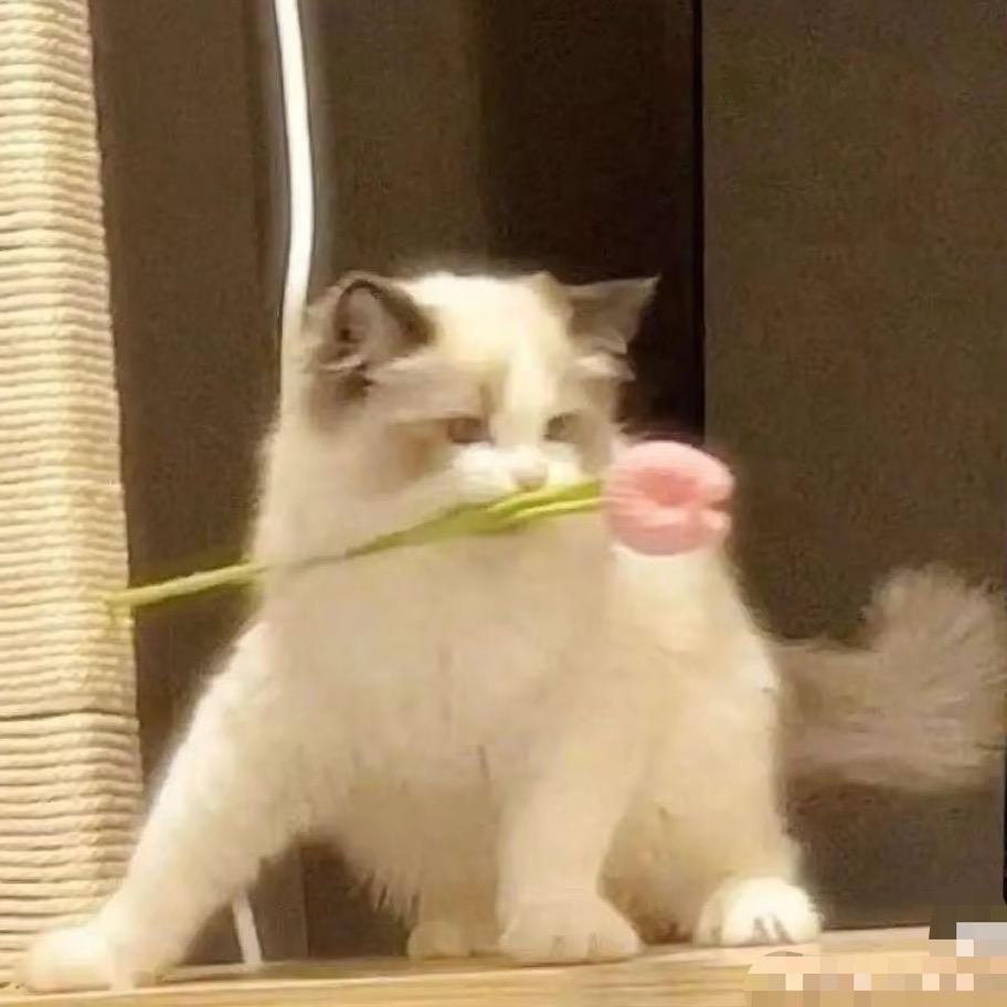 鲁斯特