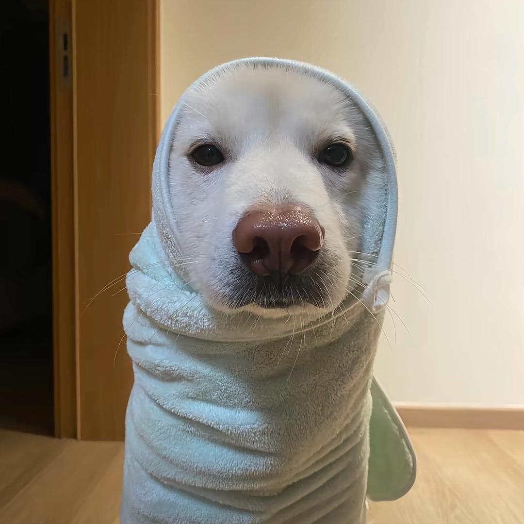 不争