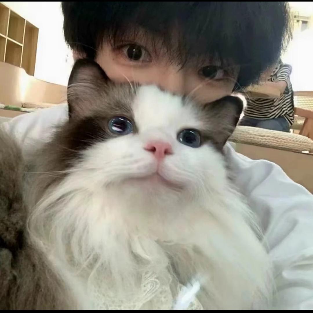 伤心菠萝包