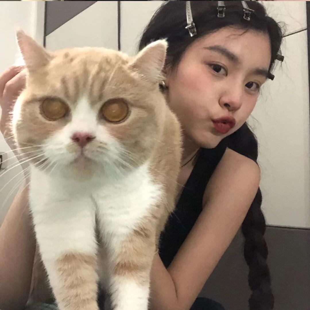 @MENG_