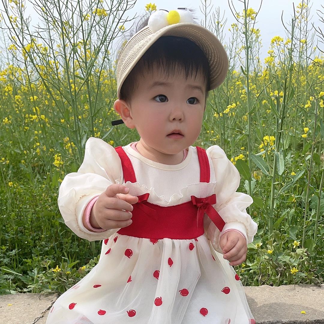 赵多肉💋💋