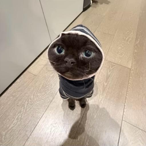 明天