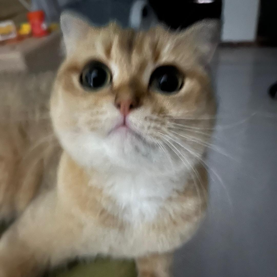 one