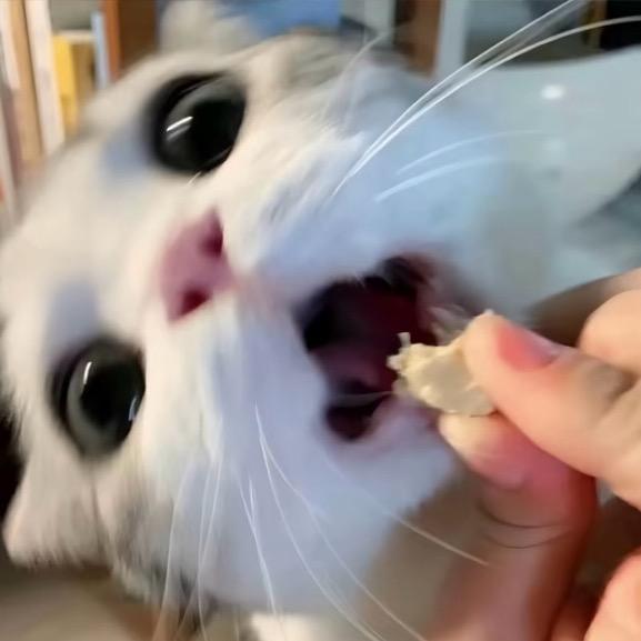 拒过王一博