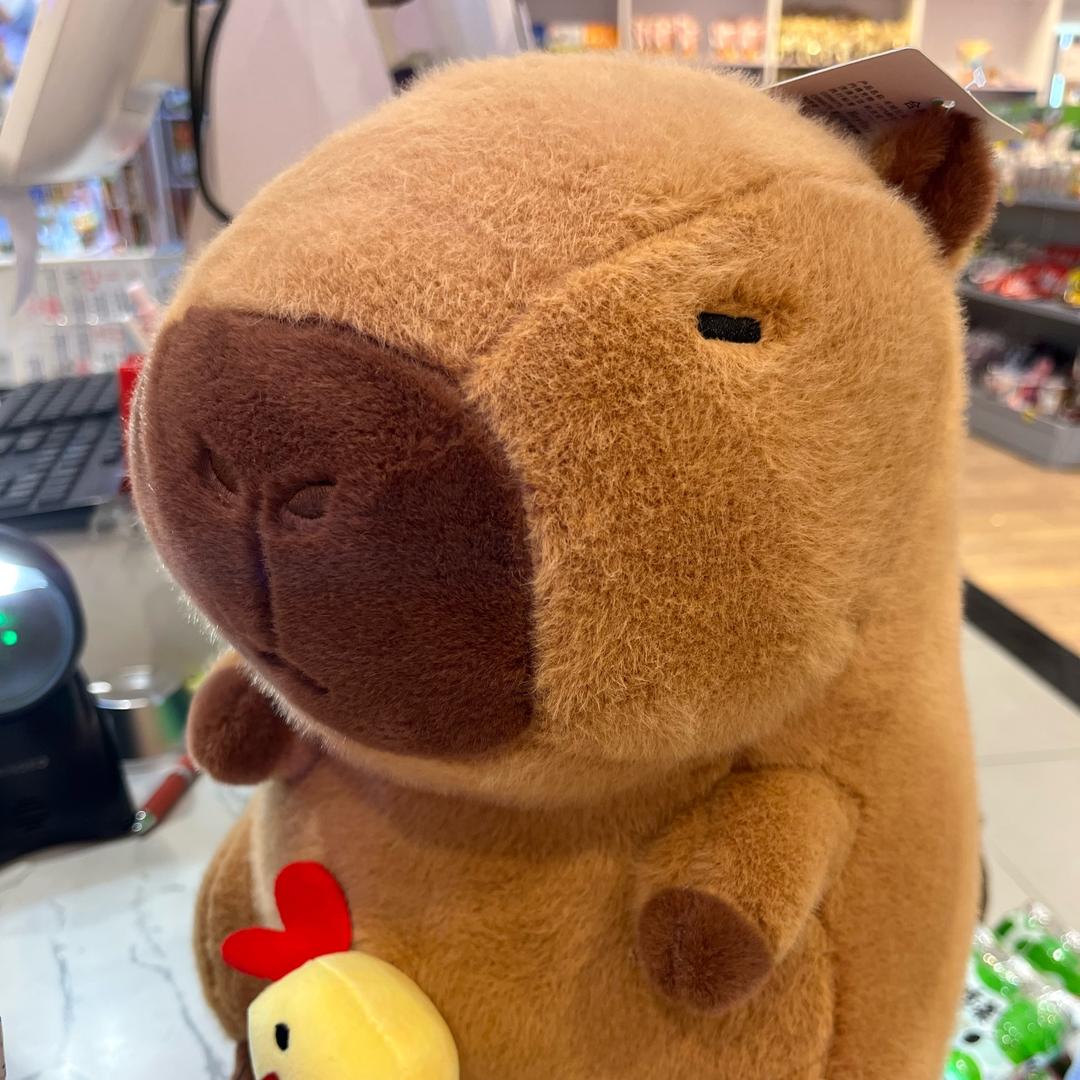 逗开心🥳