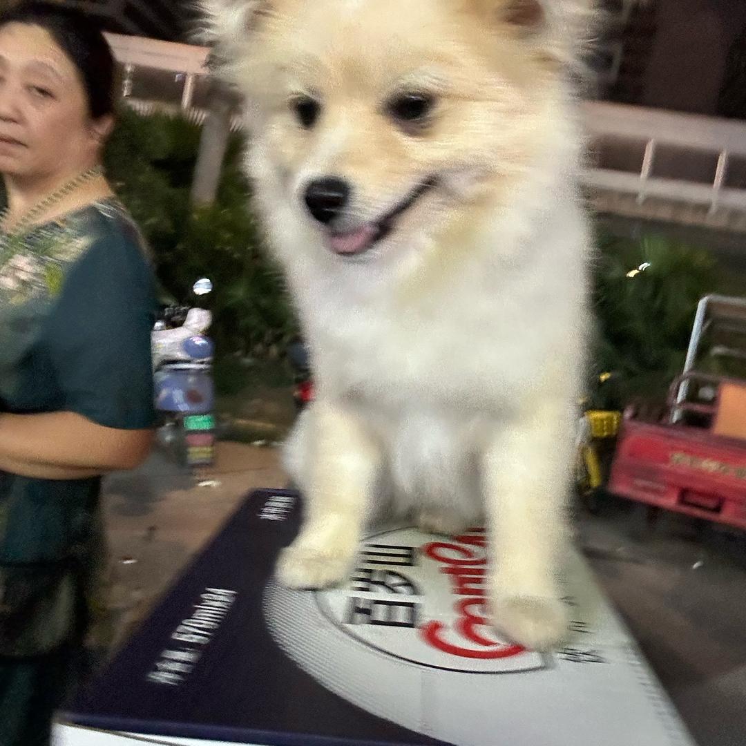 开心就好讷