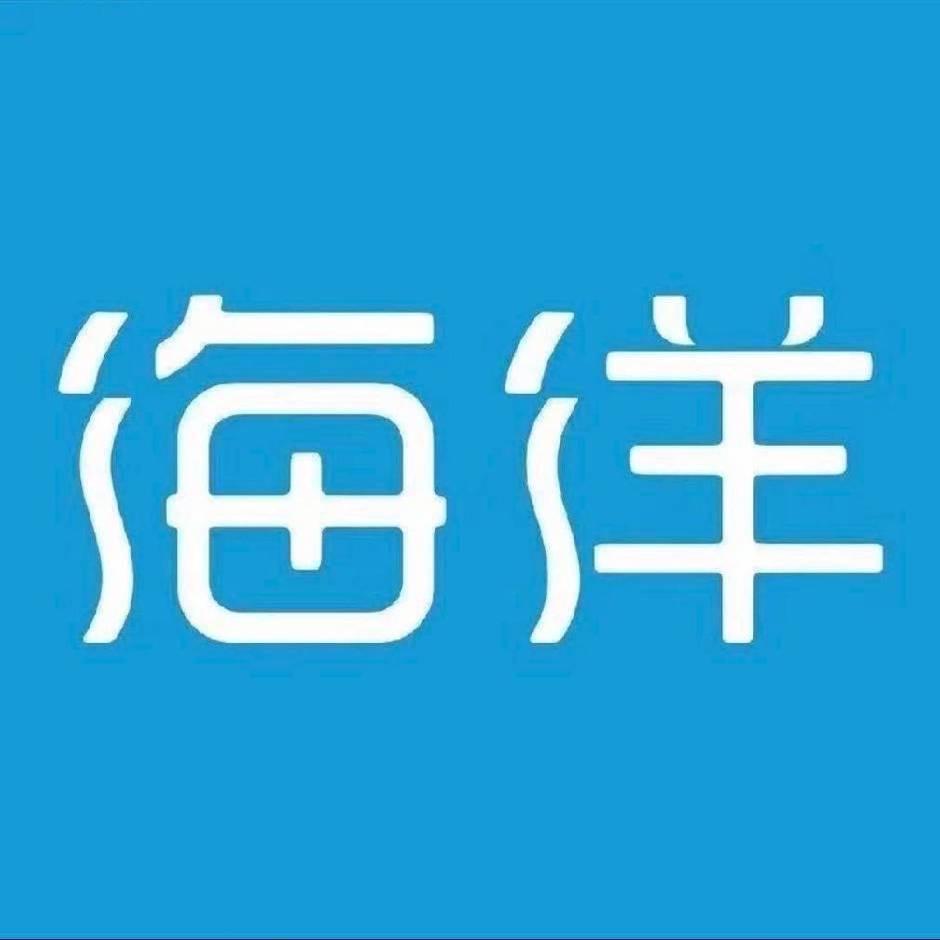 太和 比亚迪海洋网