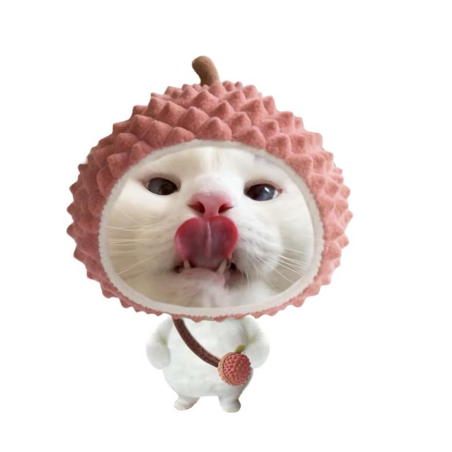 荔荔枝