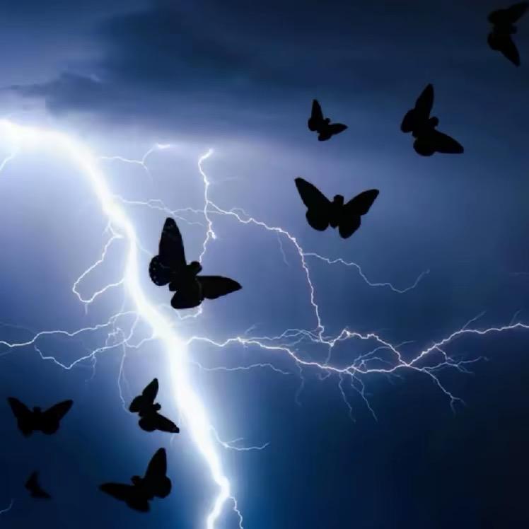 豆豆𒐫𒐫𒐫 𒐫 𒐫 𒐫𒐫