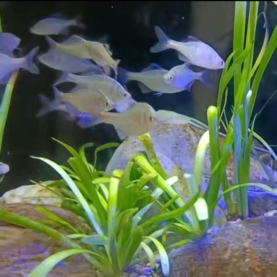 💕好运相随💕