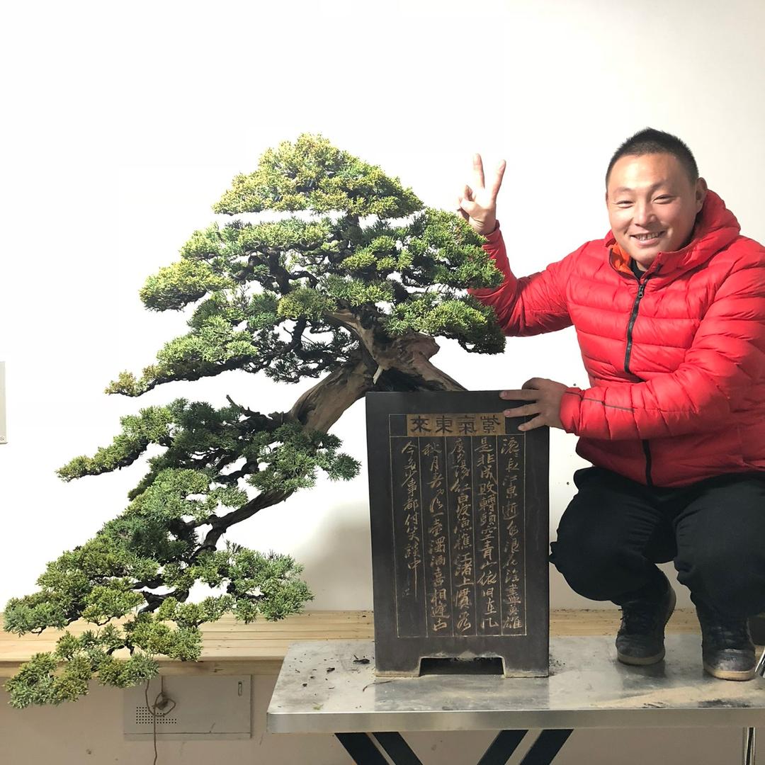 小军爱盆景-乐艺园