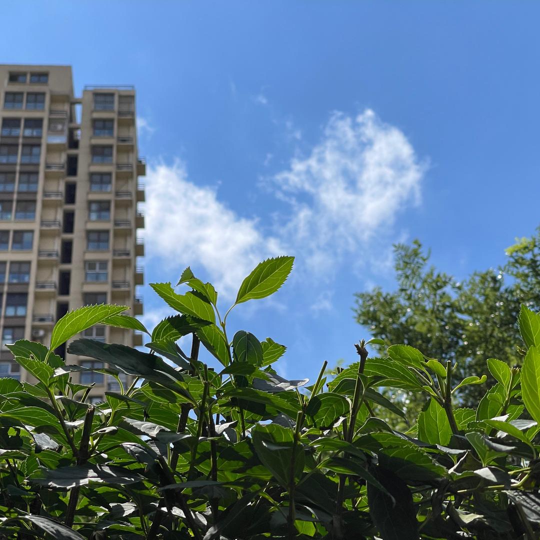 我就是 我