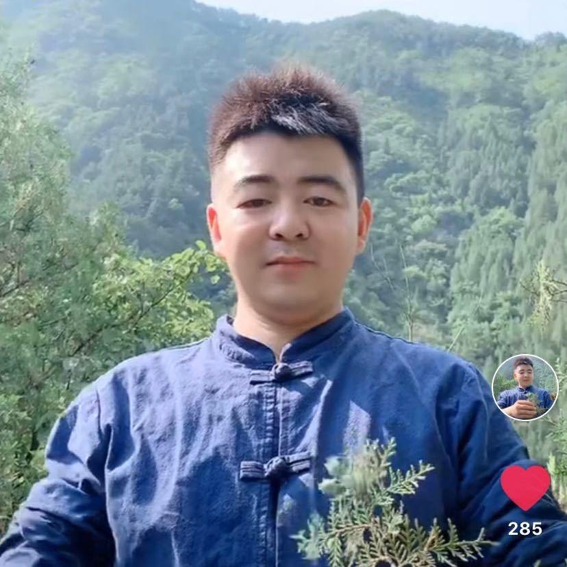 秦岭百草小王