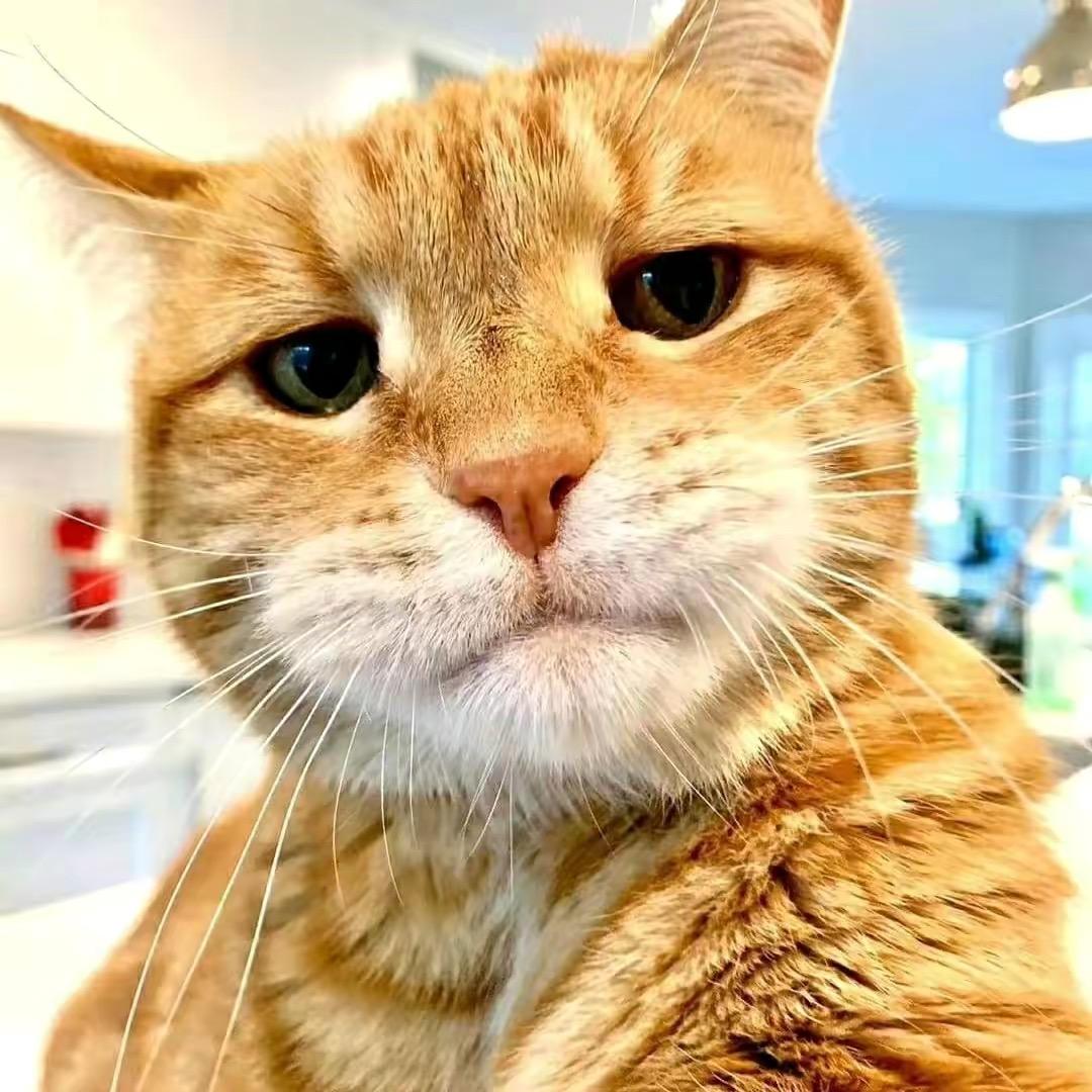 你说啥我听不见