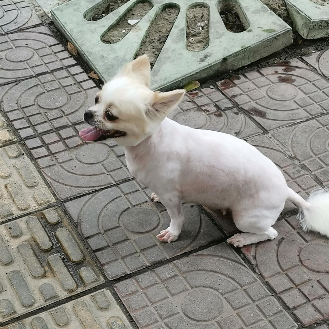 羊奶姐姐