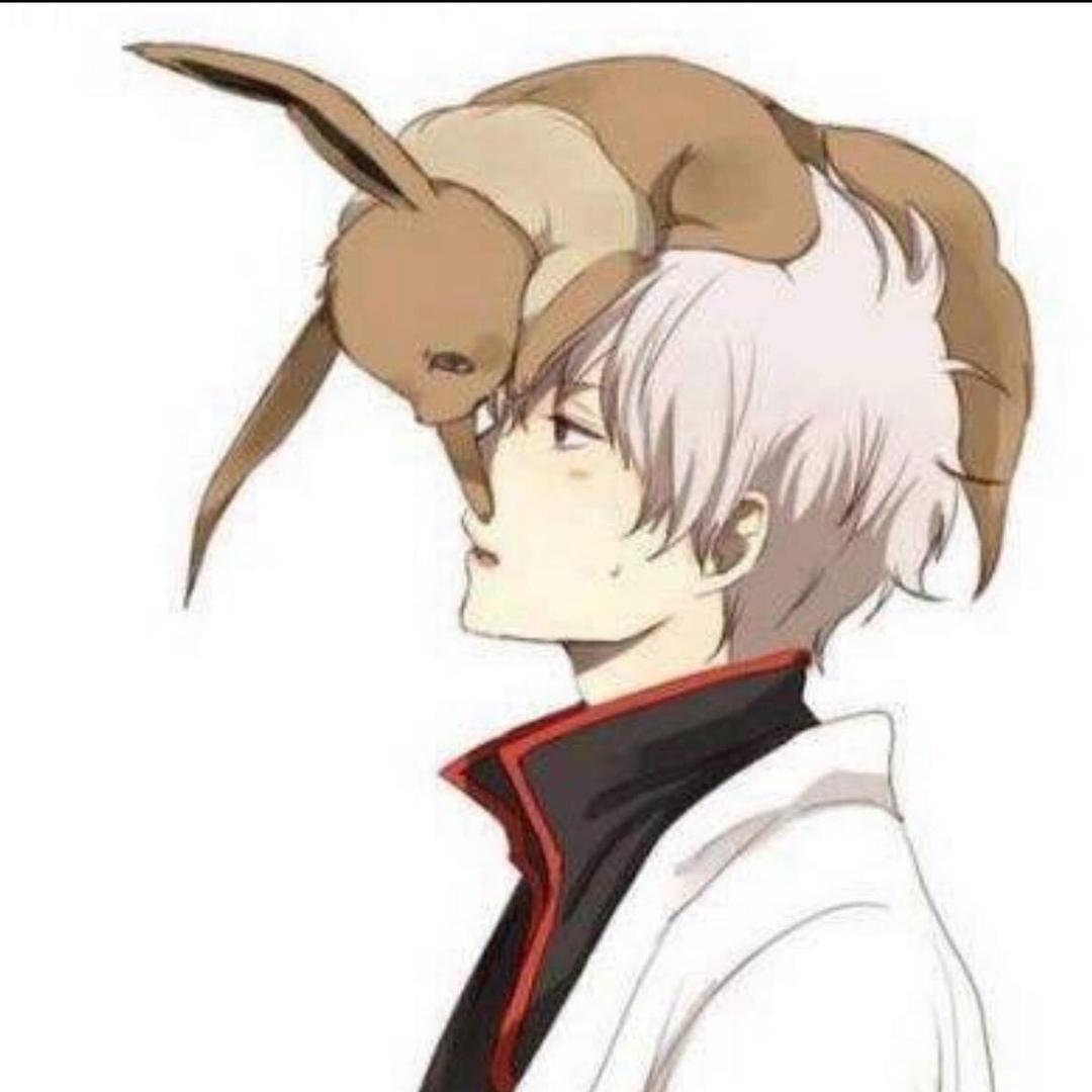 6狗小趣