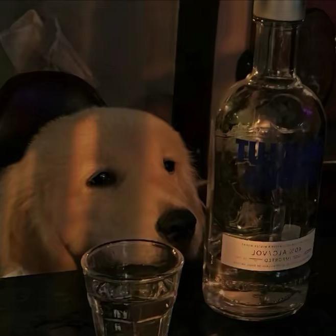 不相信