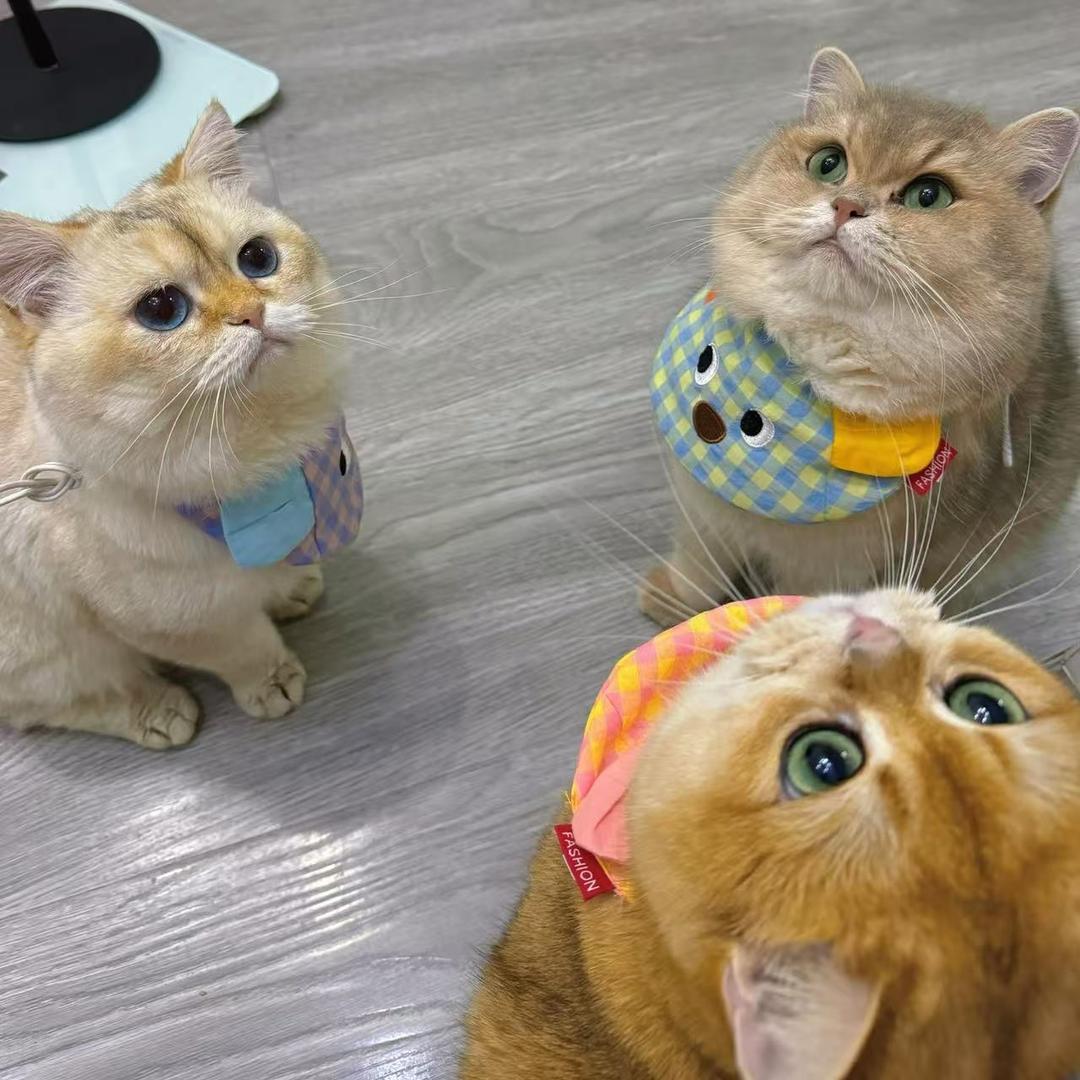 大胖年吃货铺