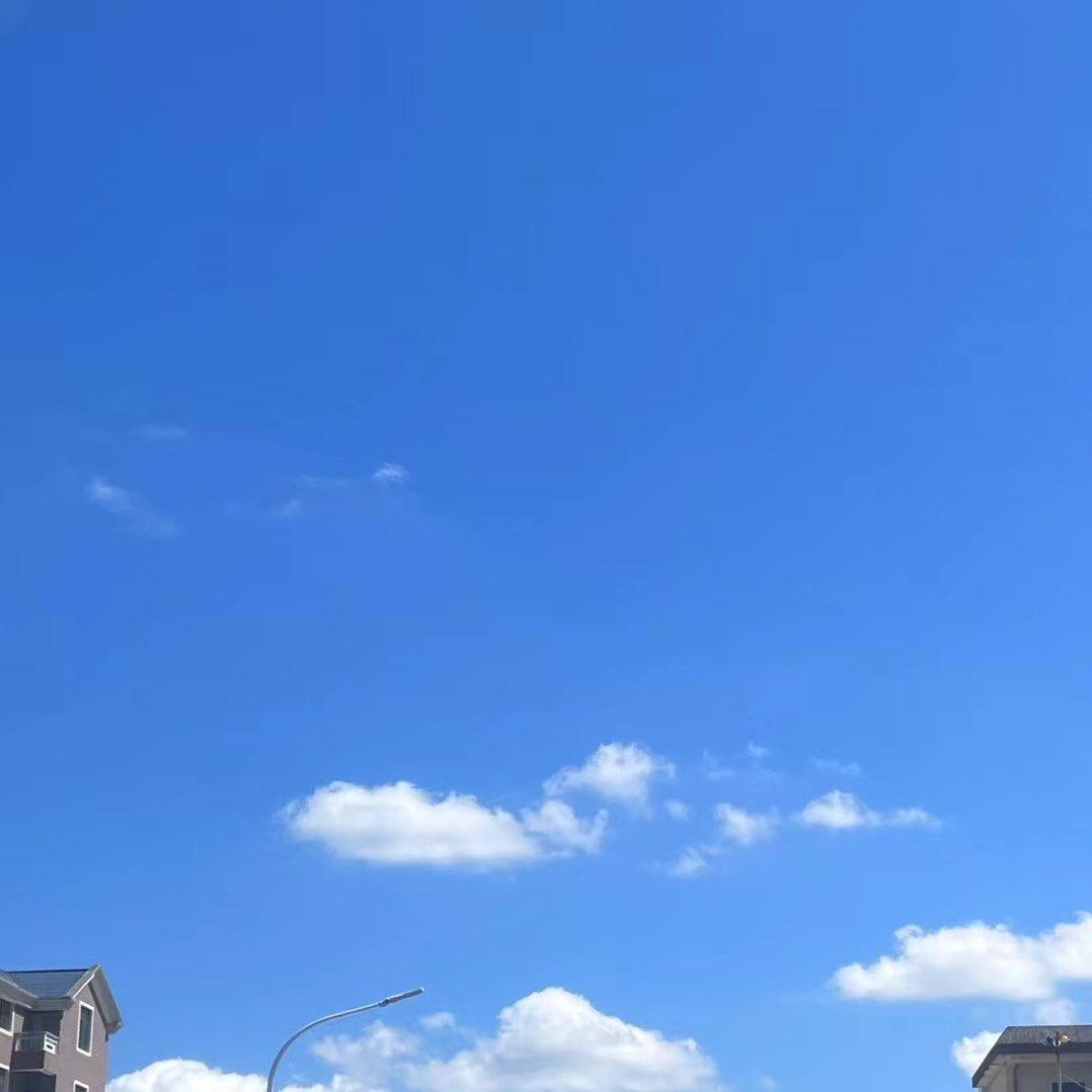 大鱼海棠的花瓣