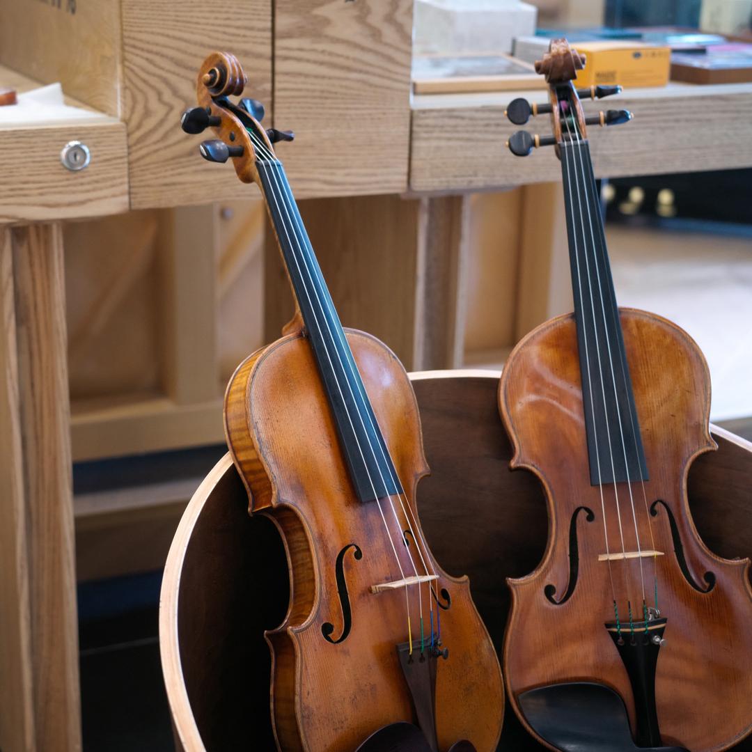 首席猫北京校区