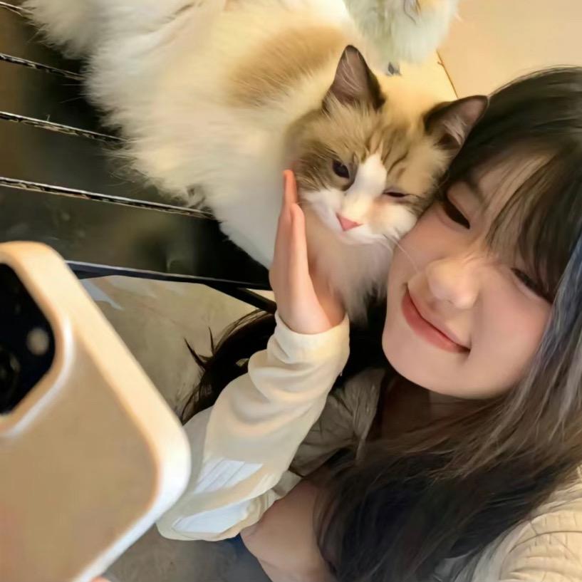 礼别豆了