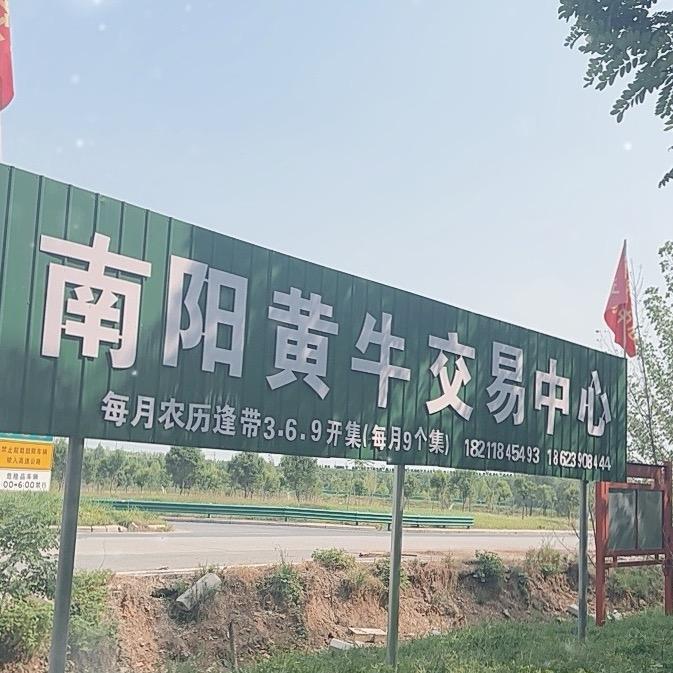 南阳黄牛交易中心