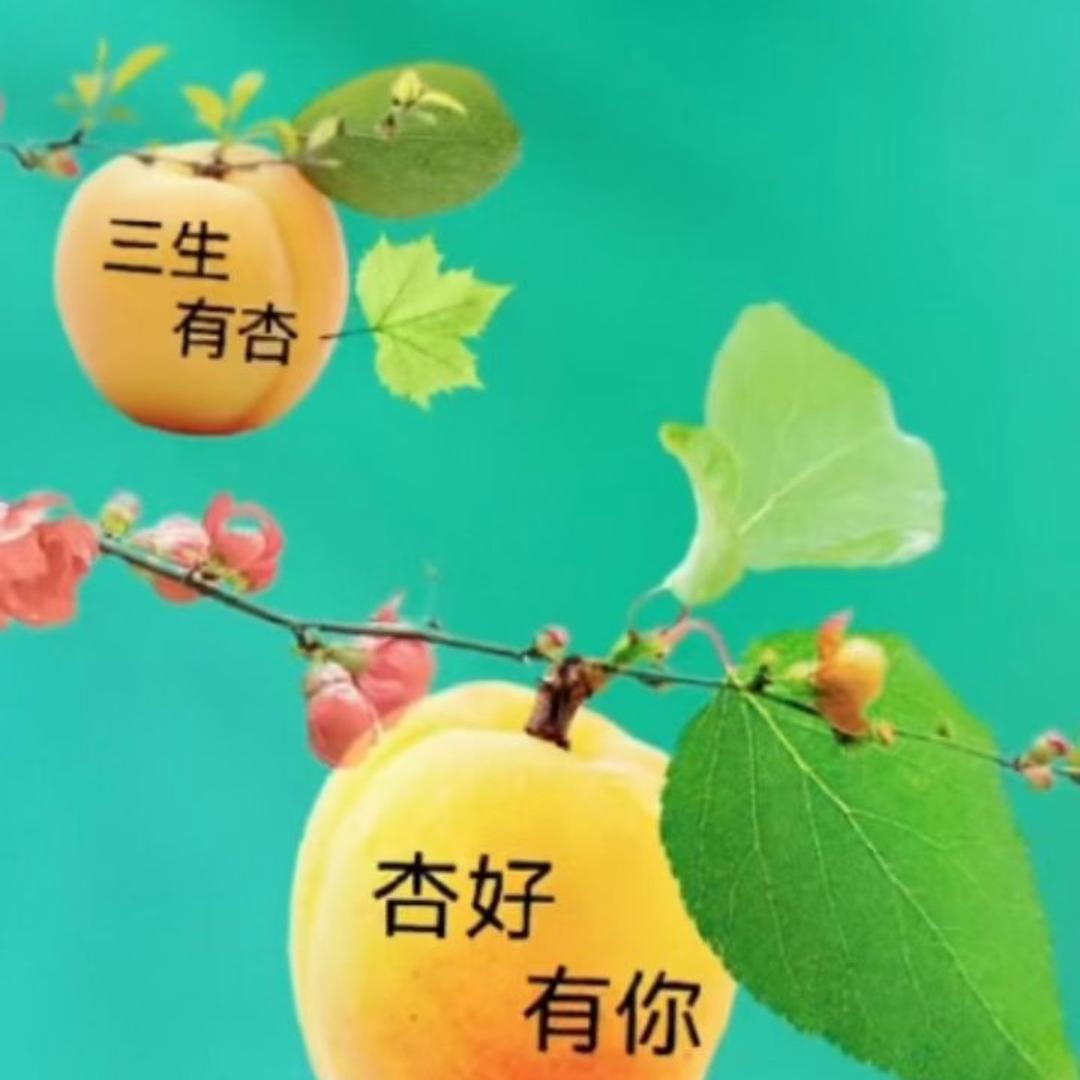 疆菜王