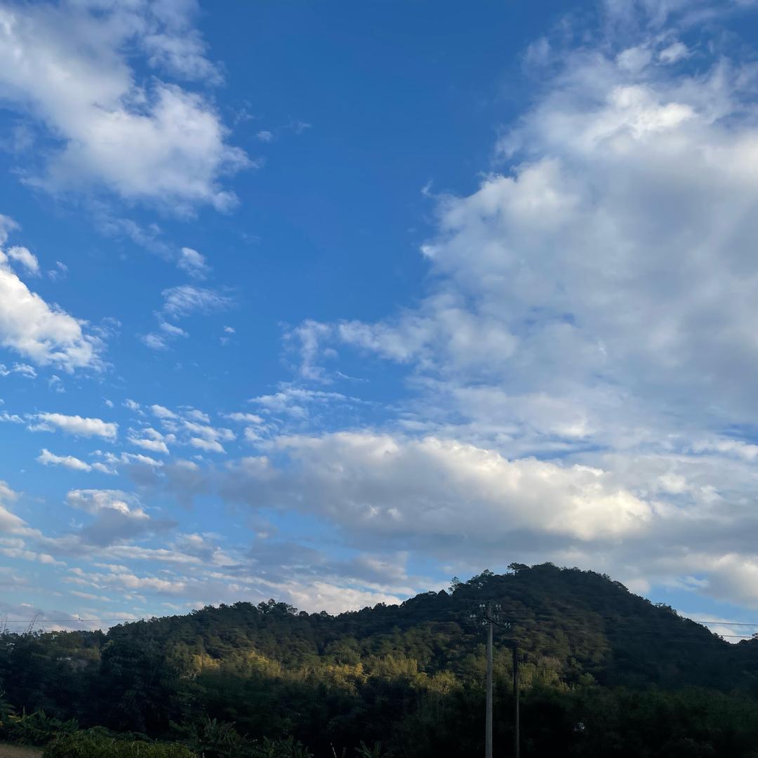 中原铭鑫（全国收各类头发）