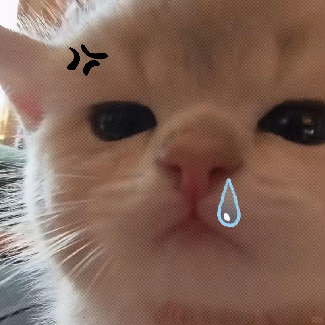 贝贝泥