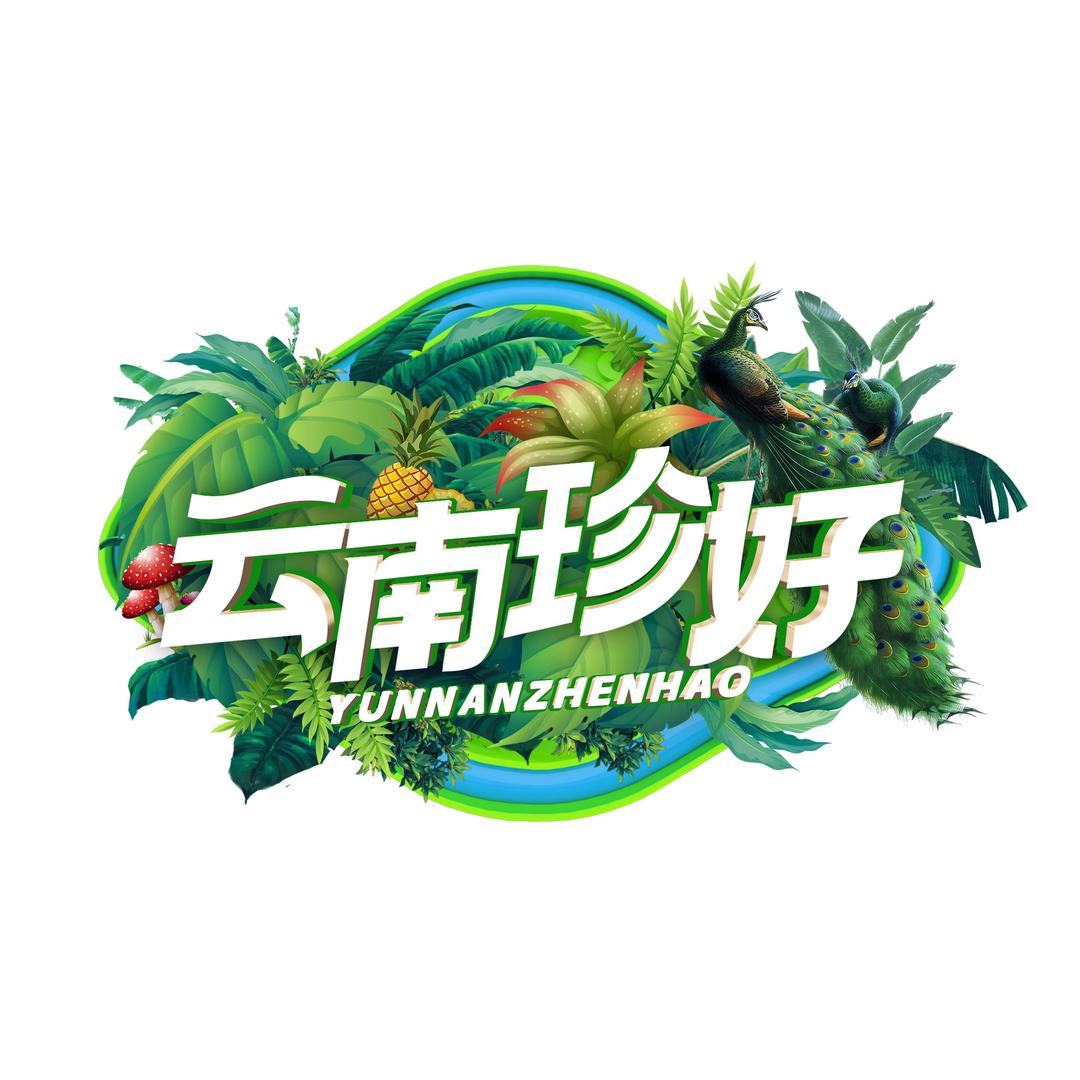 云南珍好直播间
