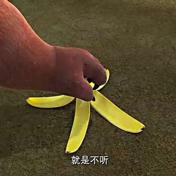 浮躁的鱼