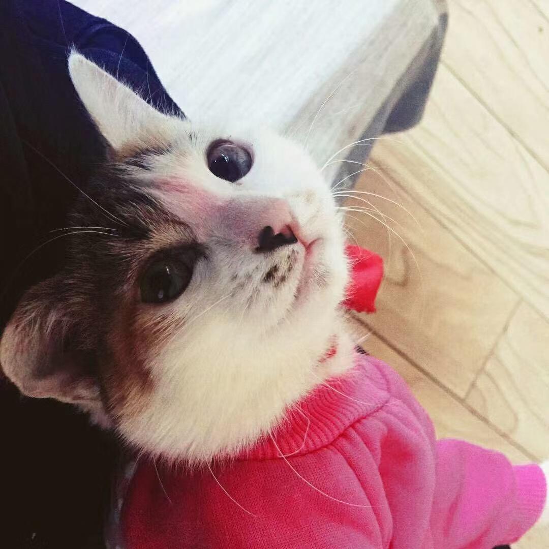 幸福伴我万年长爱🎤……