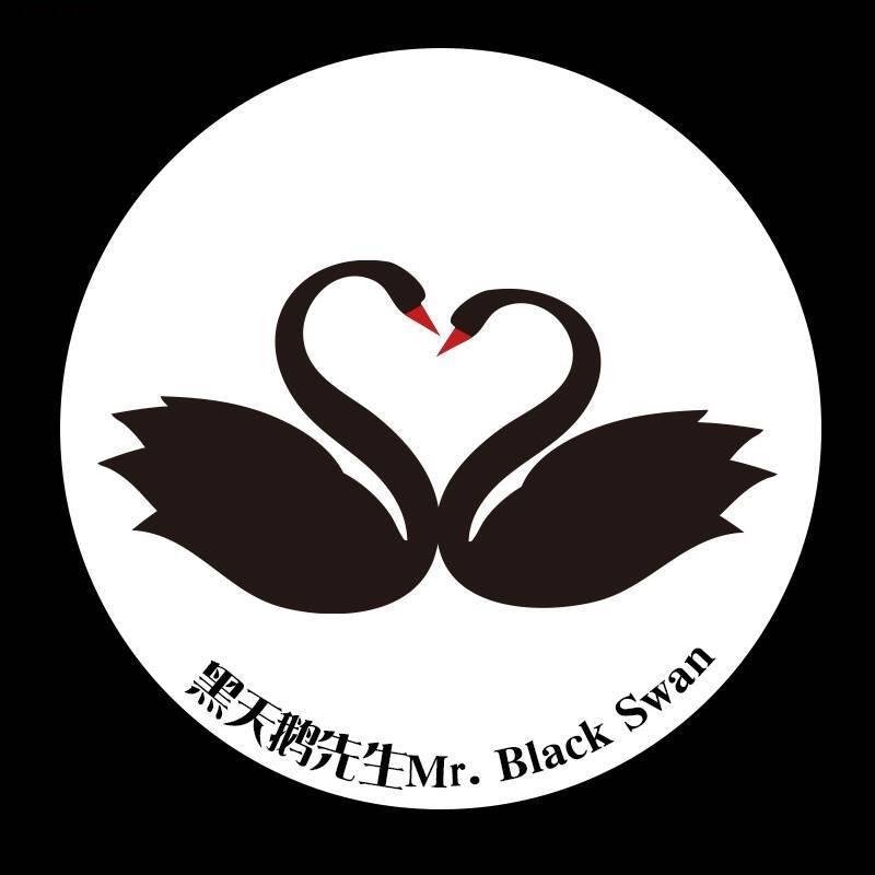 黑天鹅先生动物奶油冰淇淋生日蛋糕