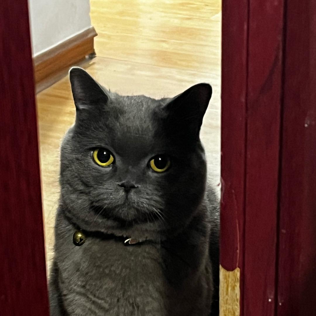 墨菲Murph👩‍🚀