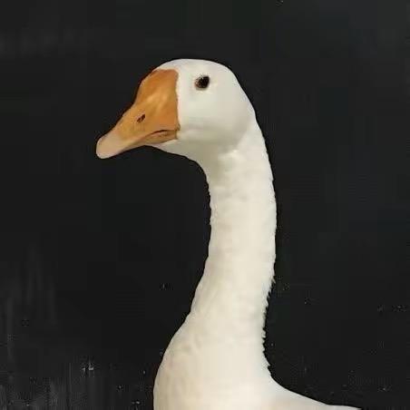 纳泥