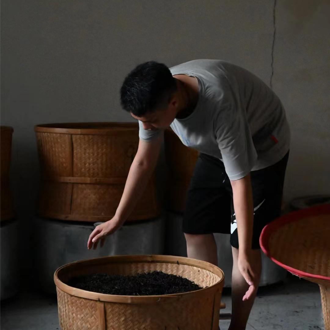 衷暴躁说茶