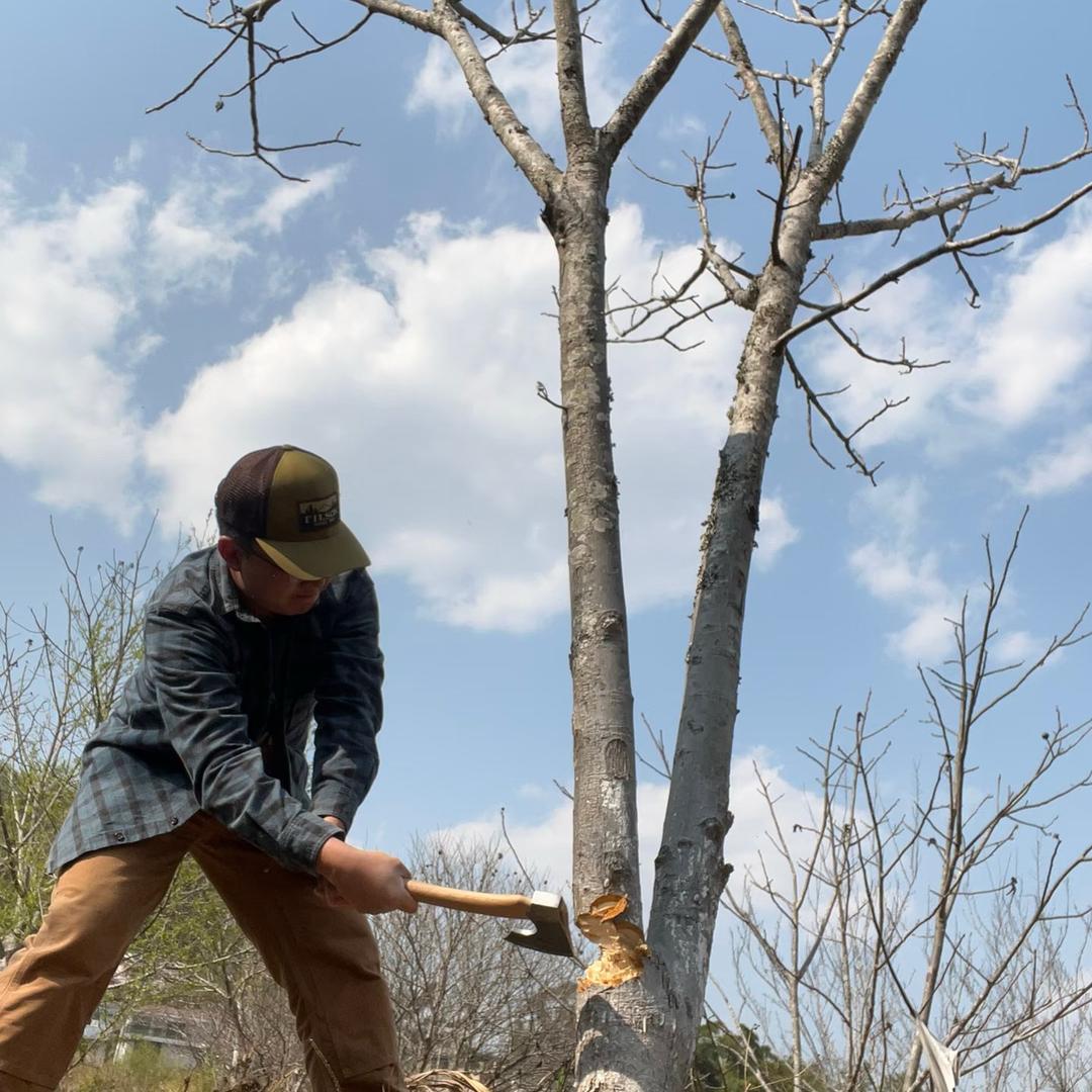 关注➕灯牌！进主播粉丝群👈👈👈🏼