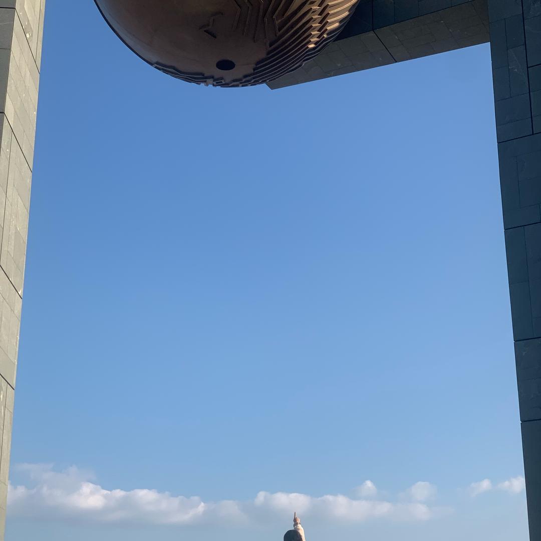 蚂蚁钉大象