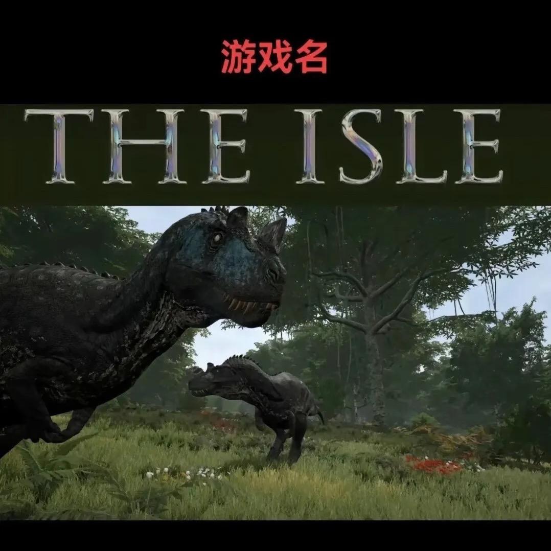 恐龙岛服主柒柒