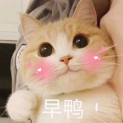 小捷拍呀