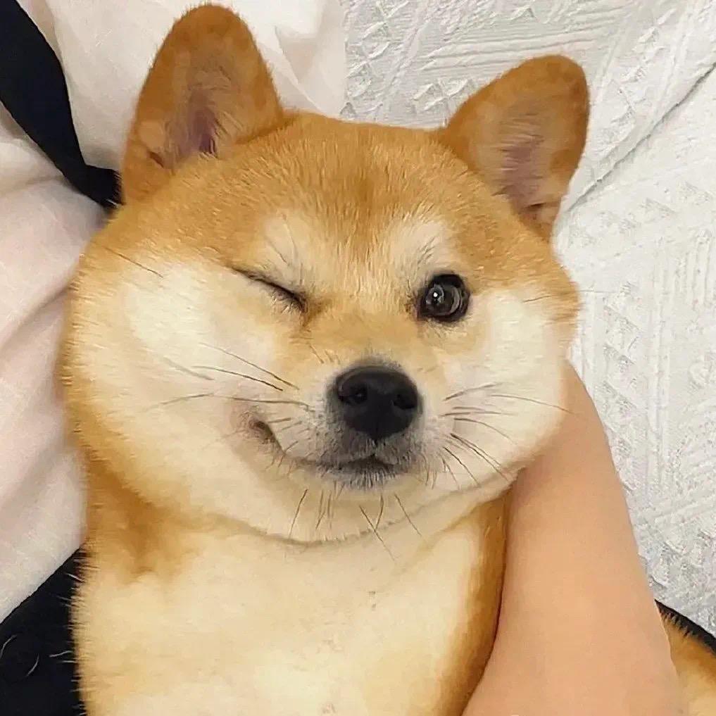 陈宵宵（逃离塔科夫）