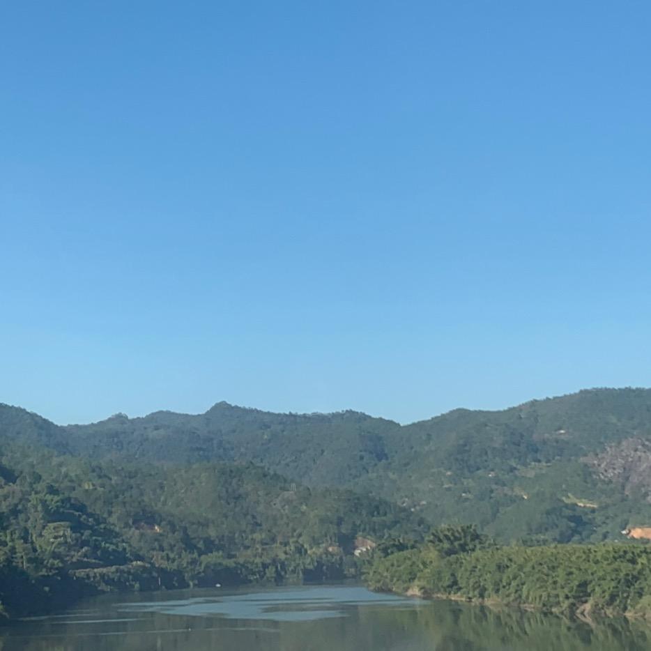 花开富贵，健康长寿