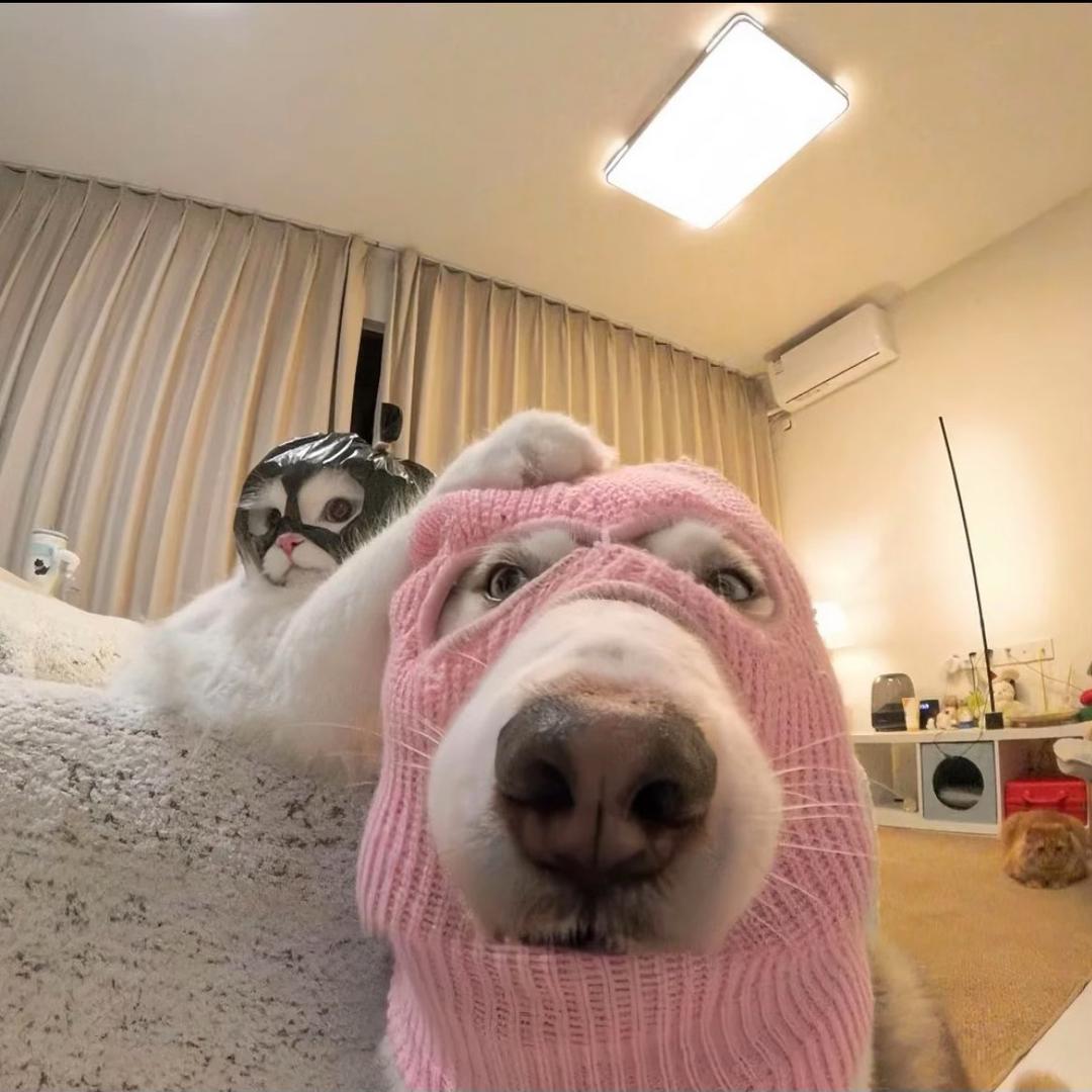 你听日落的晚钟