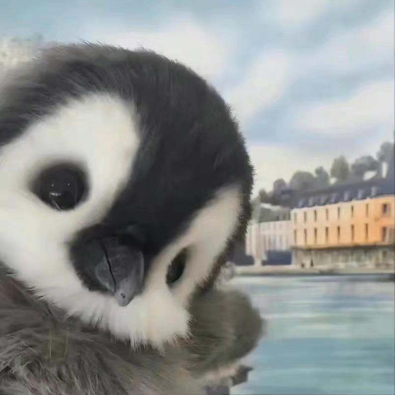 小企企鹅