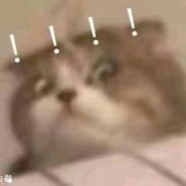 我不熬夜了