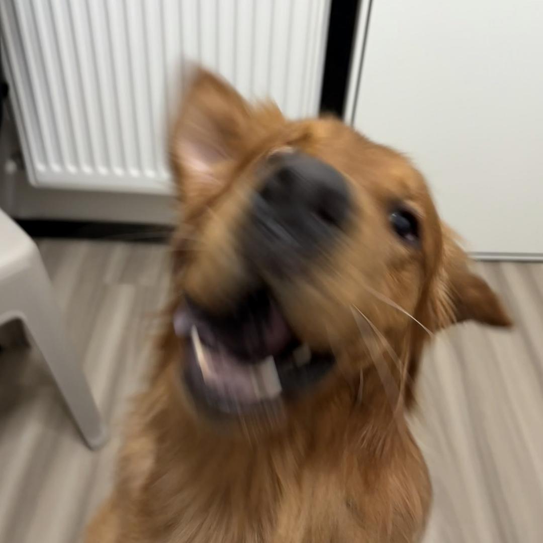 保持安静