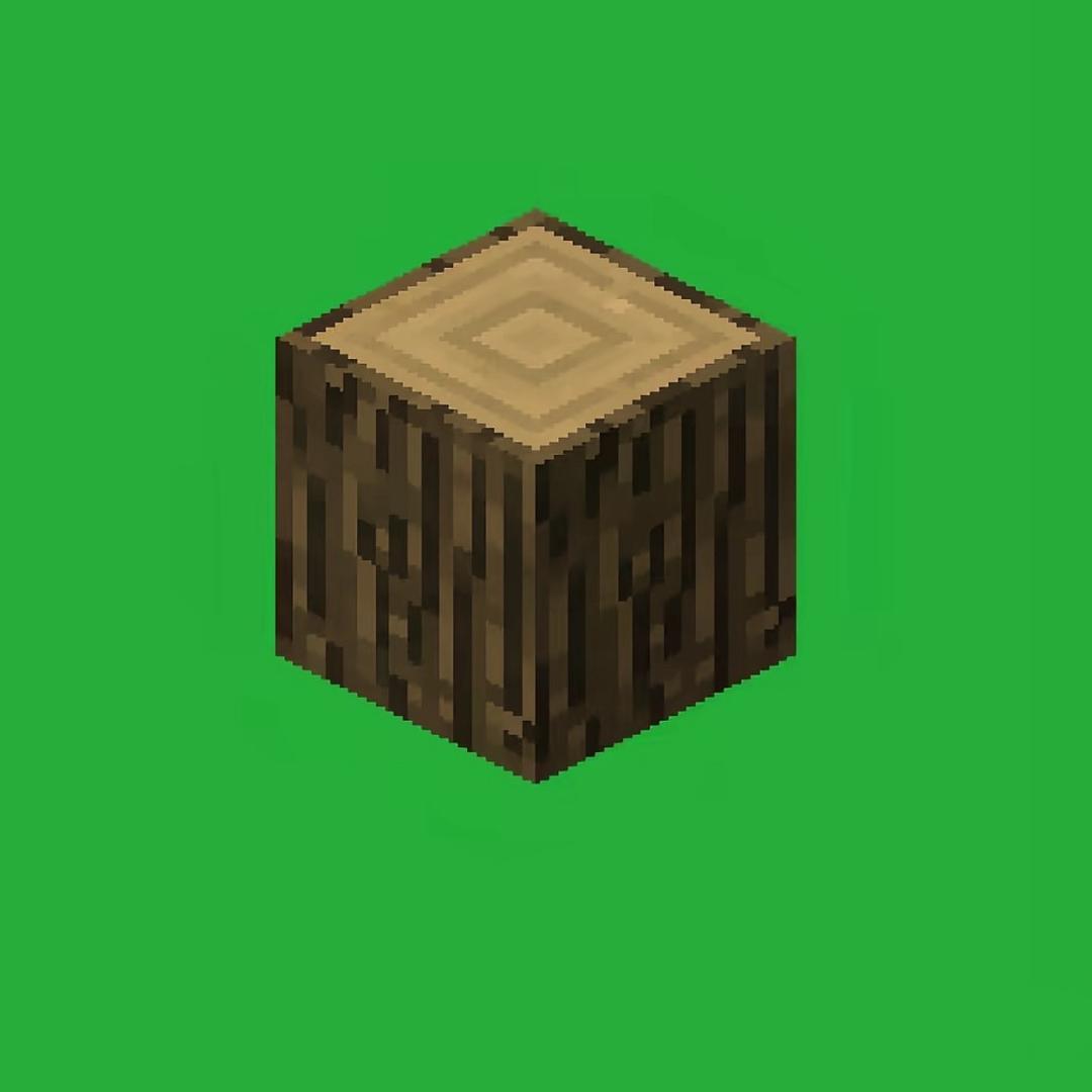 录