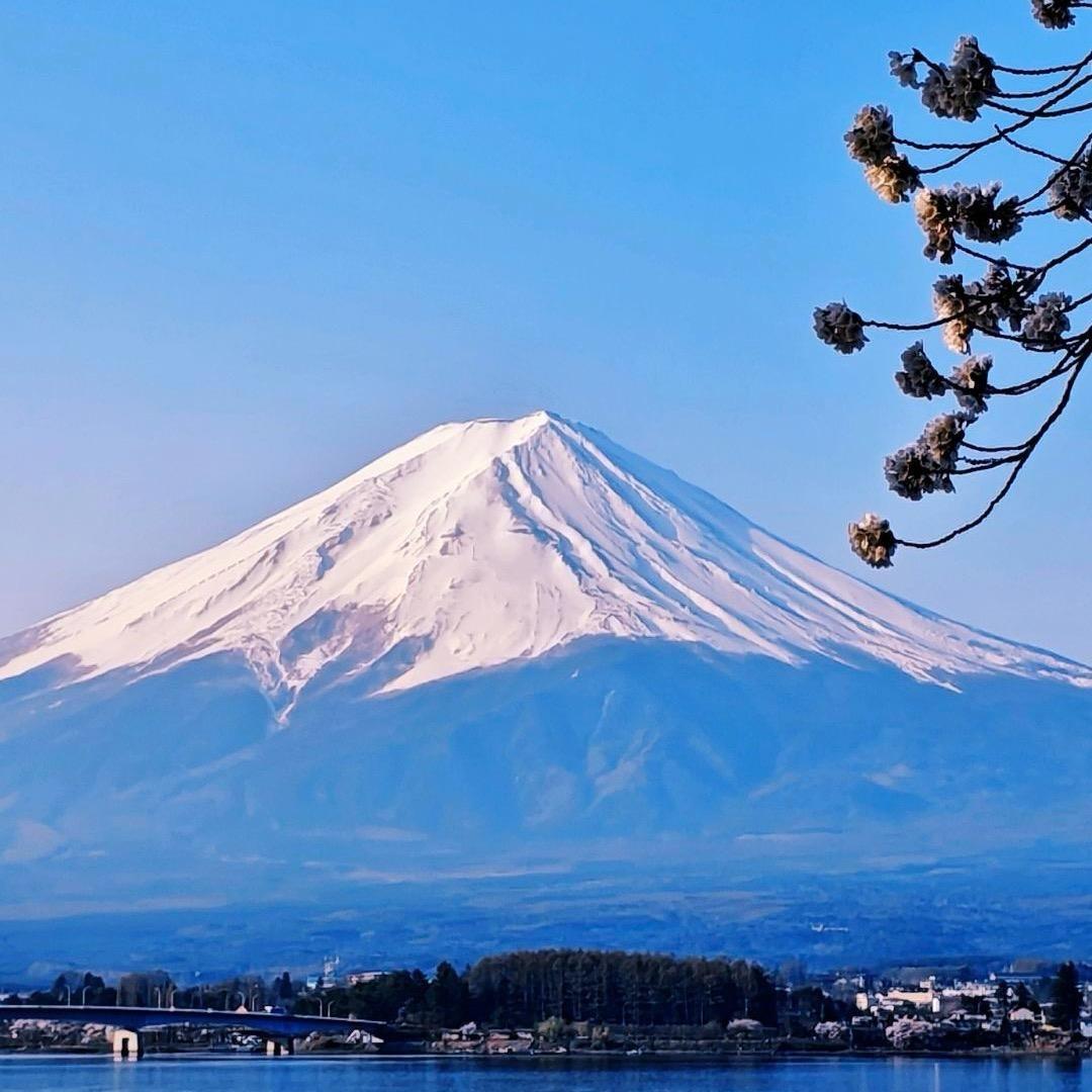 云轩中古杂货铺
